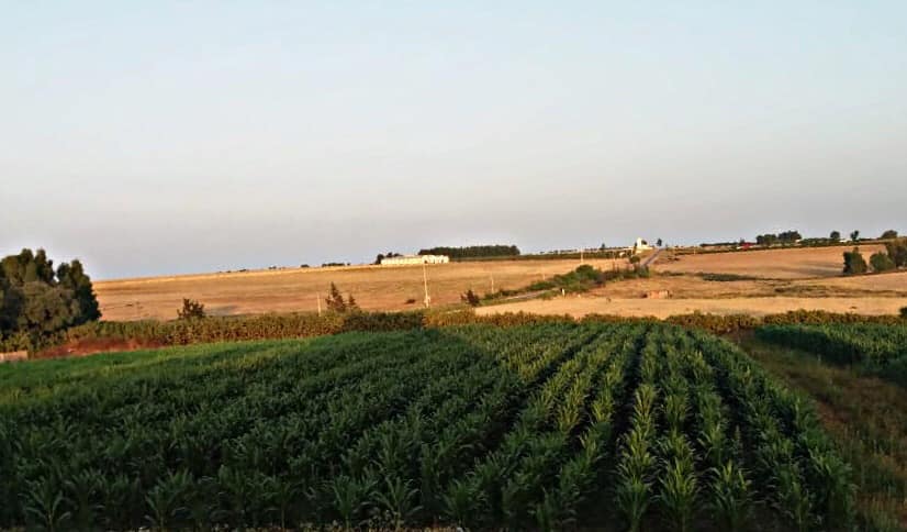 Vue panoramique du domaine